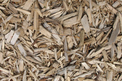 biomass boilers Burraton Coombe